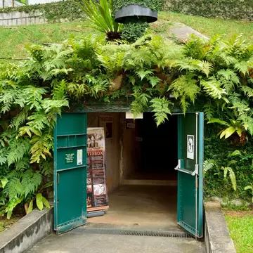 Open green blast doors lead into a fern-covered underground bunker entrance set into a grassy slope.