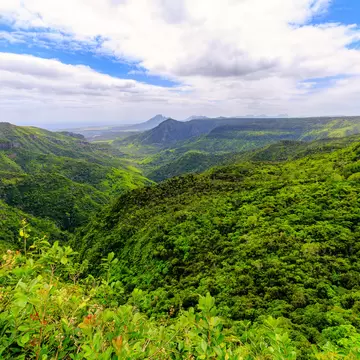 Dense green forested valley and ridges under a cloudy sky in Mauritius.