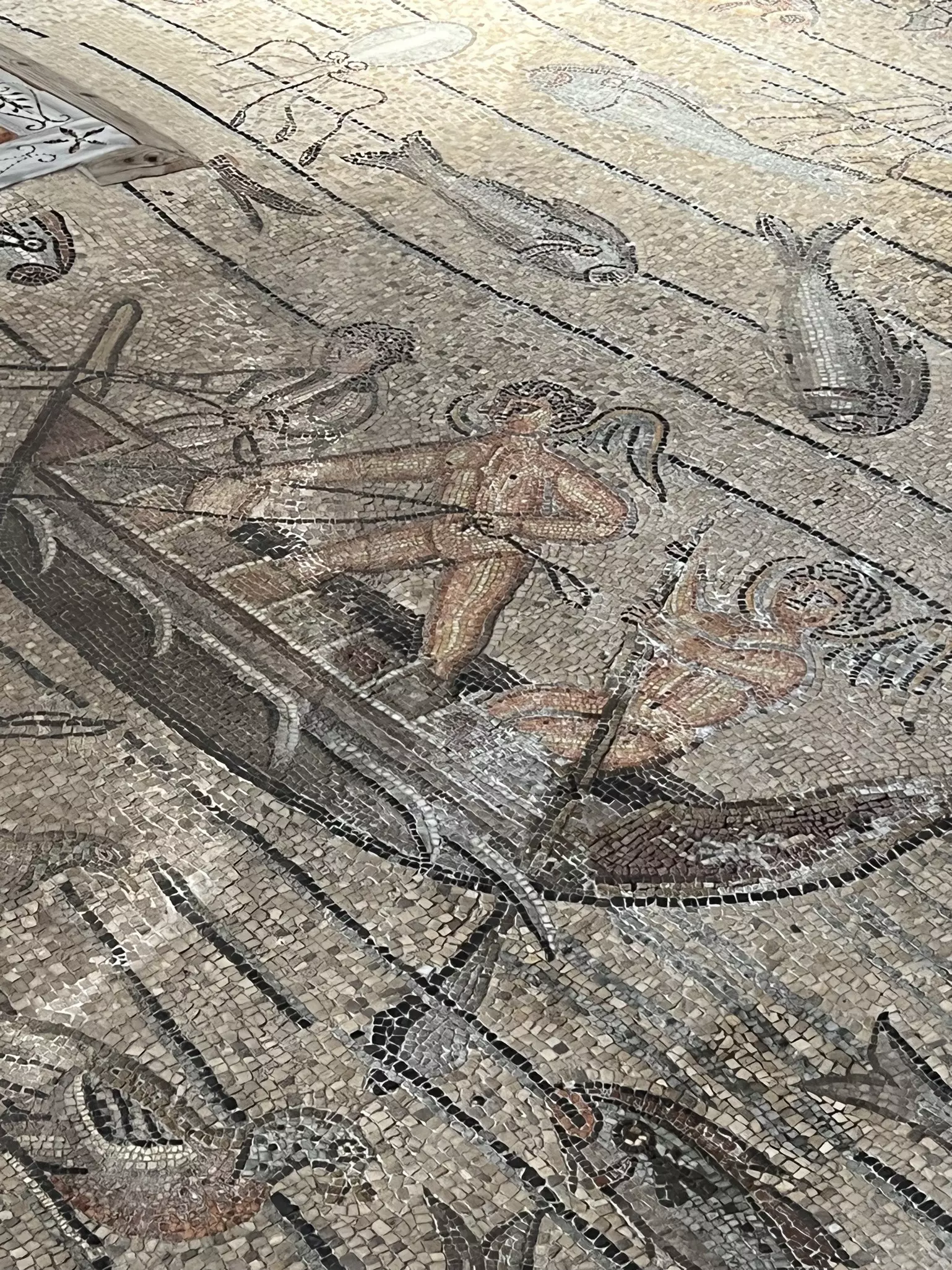 Early Christian art, including detailed human faces, sea life, and Old Testament stories are featured in the Roman-area mosaics of Friuli Venezia Giulia © Katryna Snow / Lonely Planet