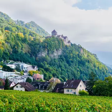 A hilltop castle in a moutainous region stands above a green vineyard 