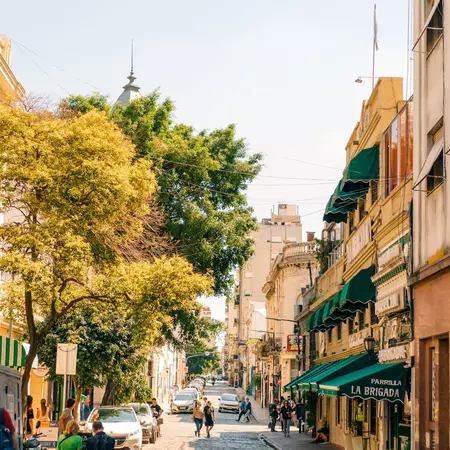 A city street is lined with trees, shops and restaurants.