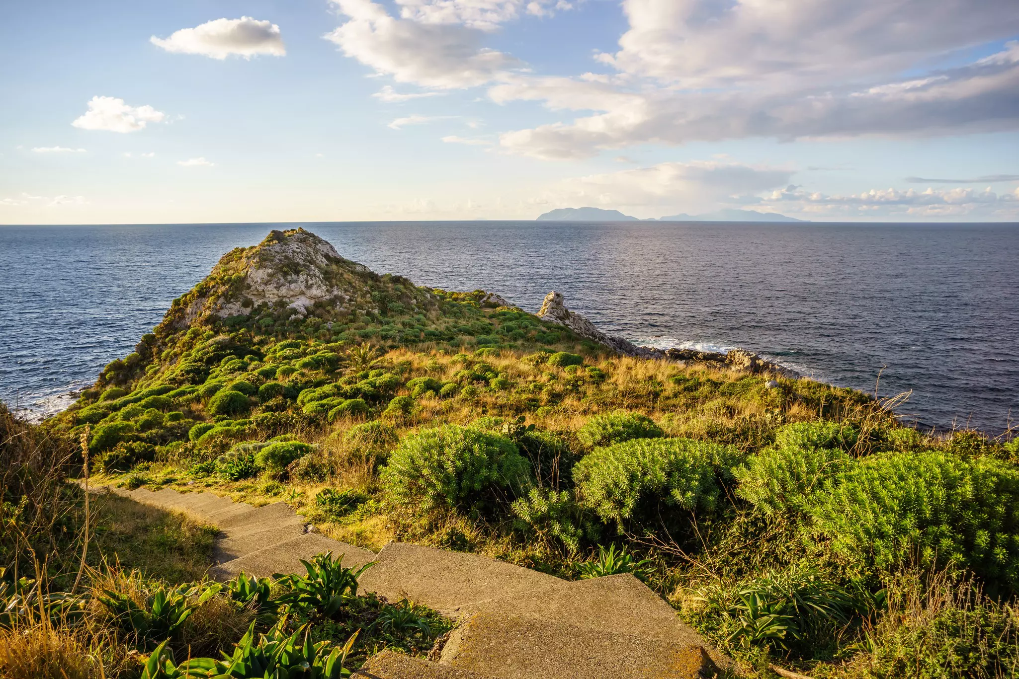 A stone path through bushes and olive trees towards the ocean.