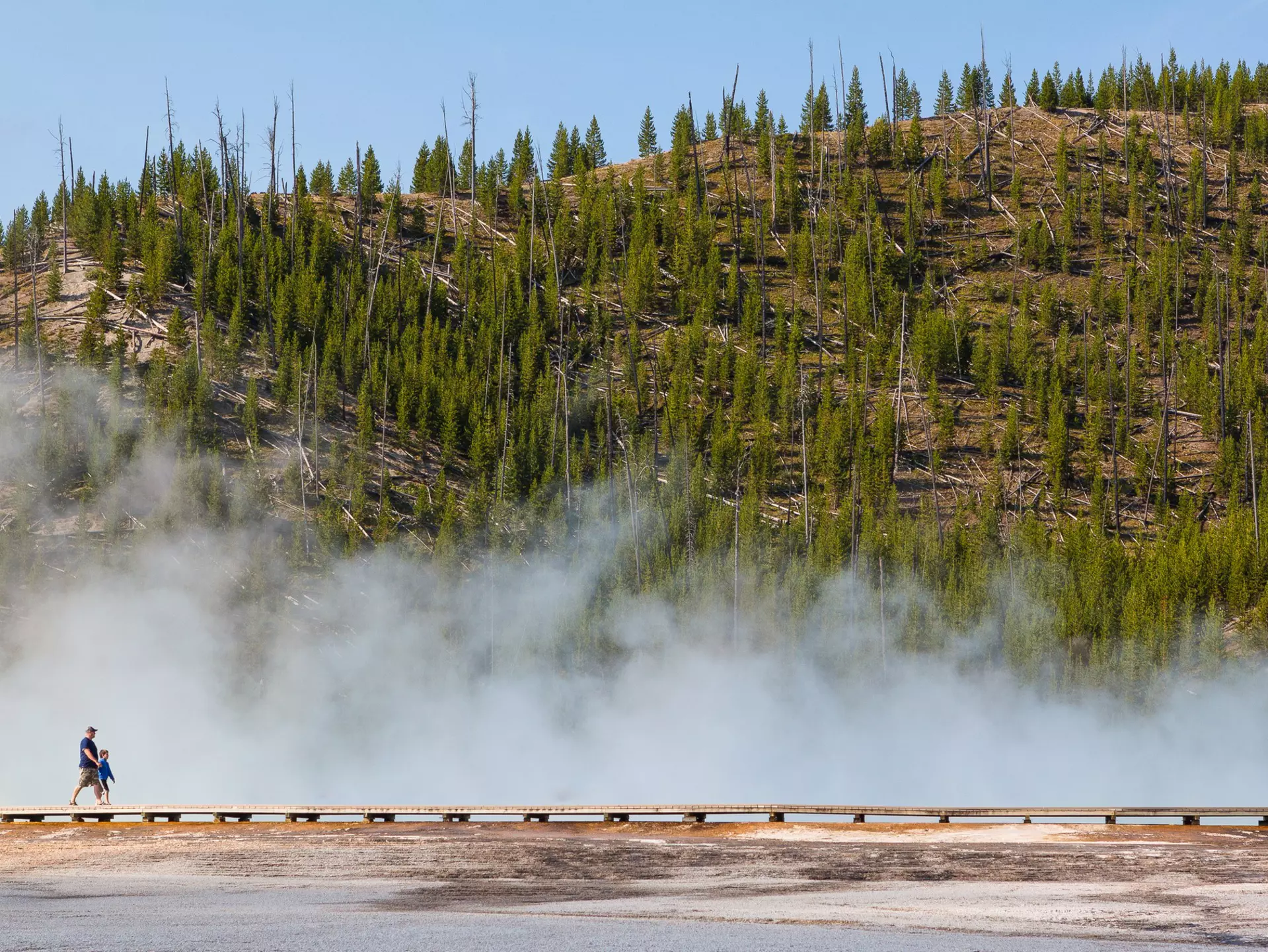Visiting the world’s oldest national park is an American rite of passage © littleting / Pradthana Jarusriboonchai / Getty Images