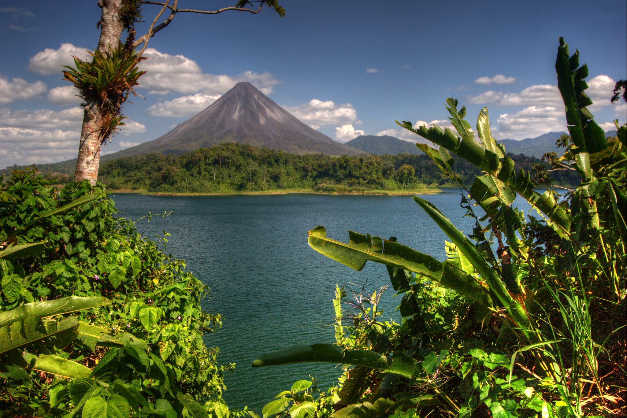 Arenal and Bananas
