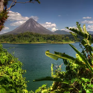 Arenal and Bananas