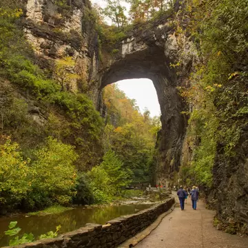 Natural Bridge in Fall; Shutterstock ID 735492793;