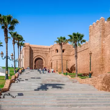 People walking up numerous stairs leading to the large doors of a brick building. Palm trees are on both sides of the stairway