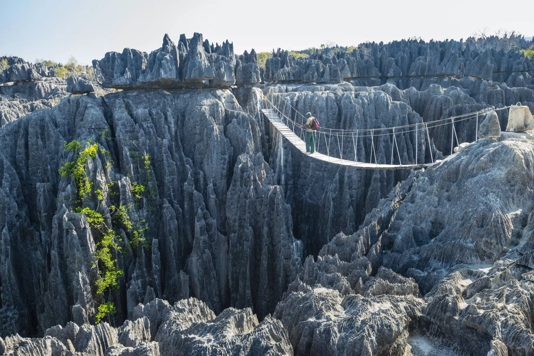A rope bridge spanning a canyon in Unesco-listed Grand Tsingy, the world's biggest 'stone forest'