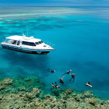 Aerial view of snorkelers  at the ABC Reef Safaris in the Great Barrier Reef, Australia.