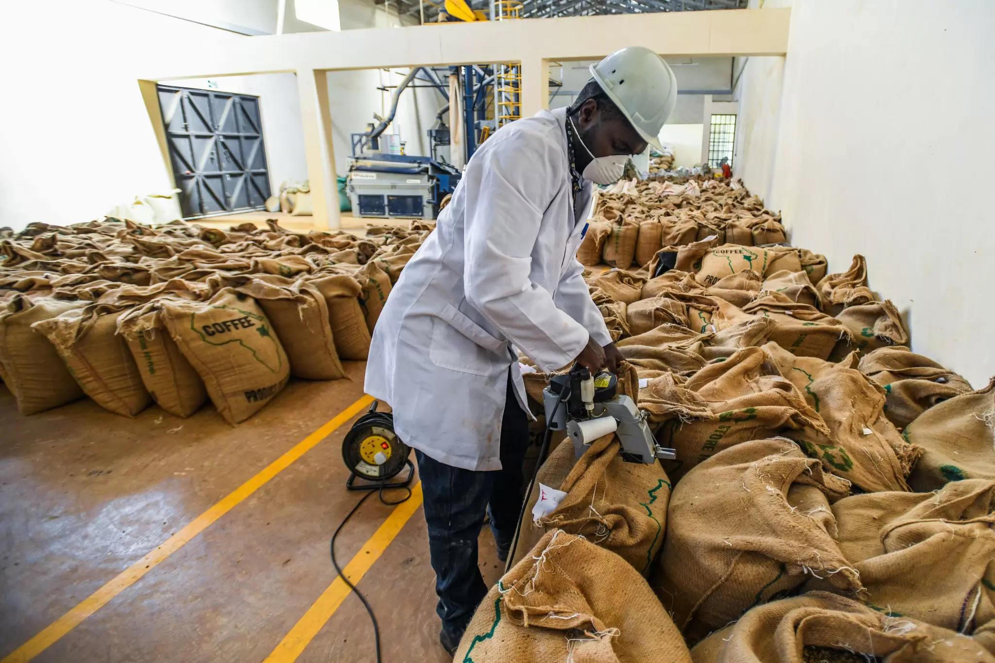 A man in a lab coat and hard hat inspects sacks of coffee beans in a warehouse.