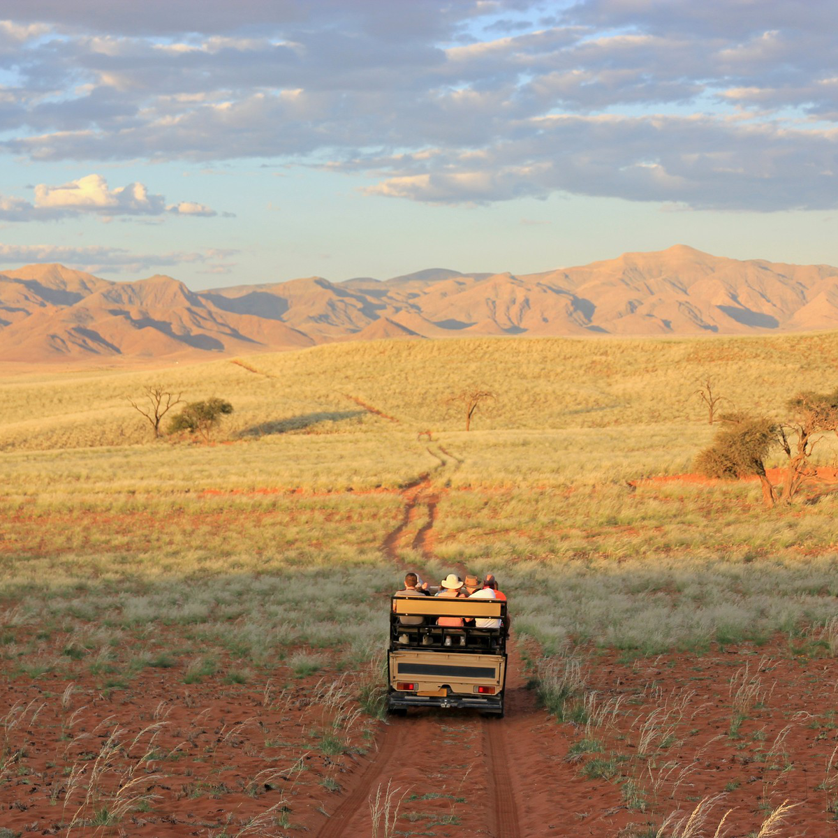 Safari truck, Namibia