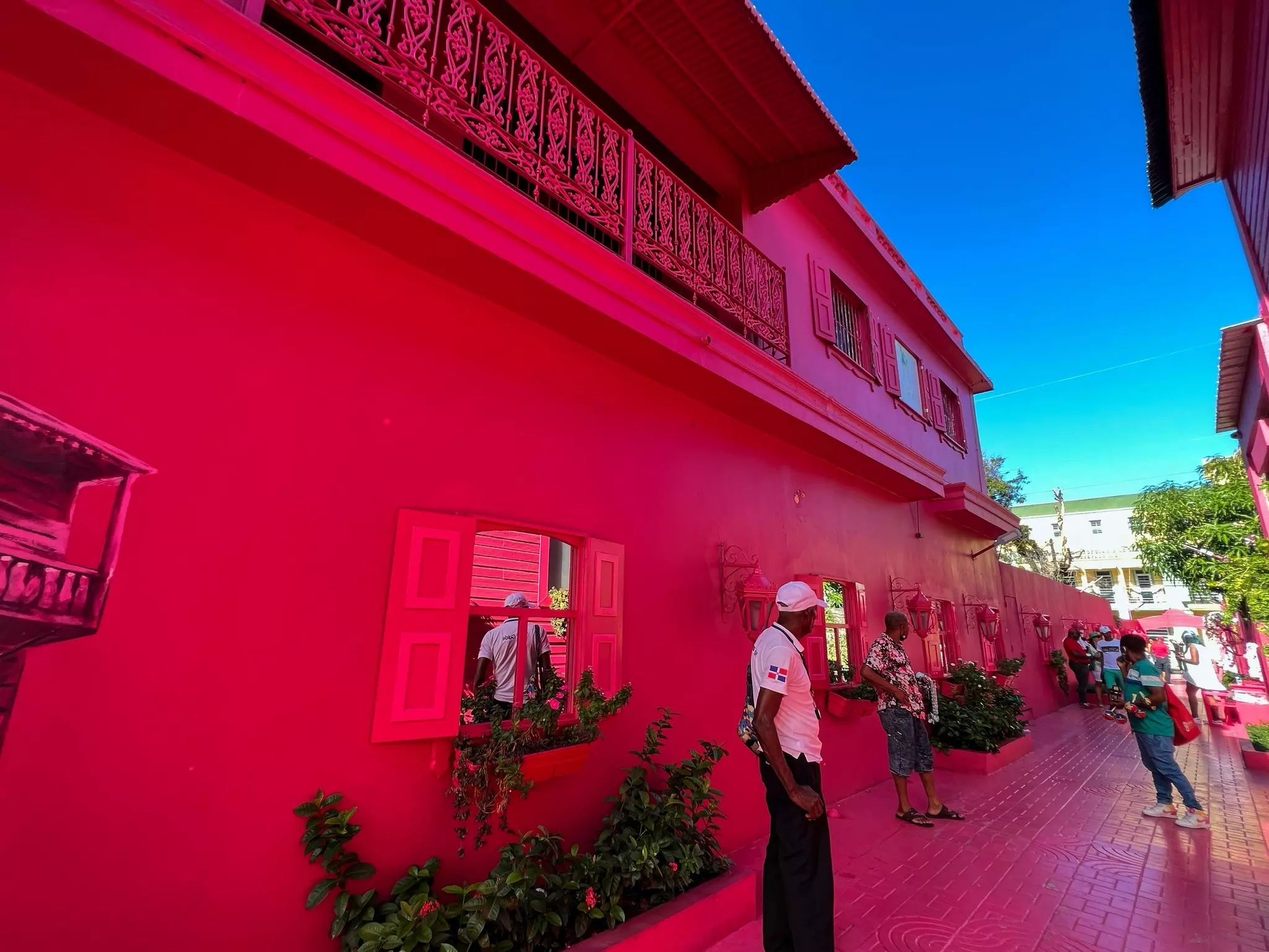 On Puerto Plata’s Paseo de Doña Blanca, magenta rules © Joni Hanebutt / Shutterstock