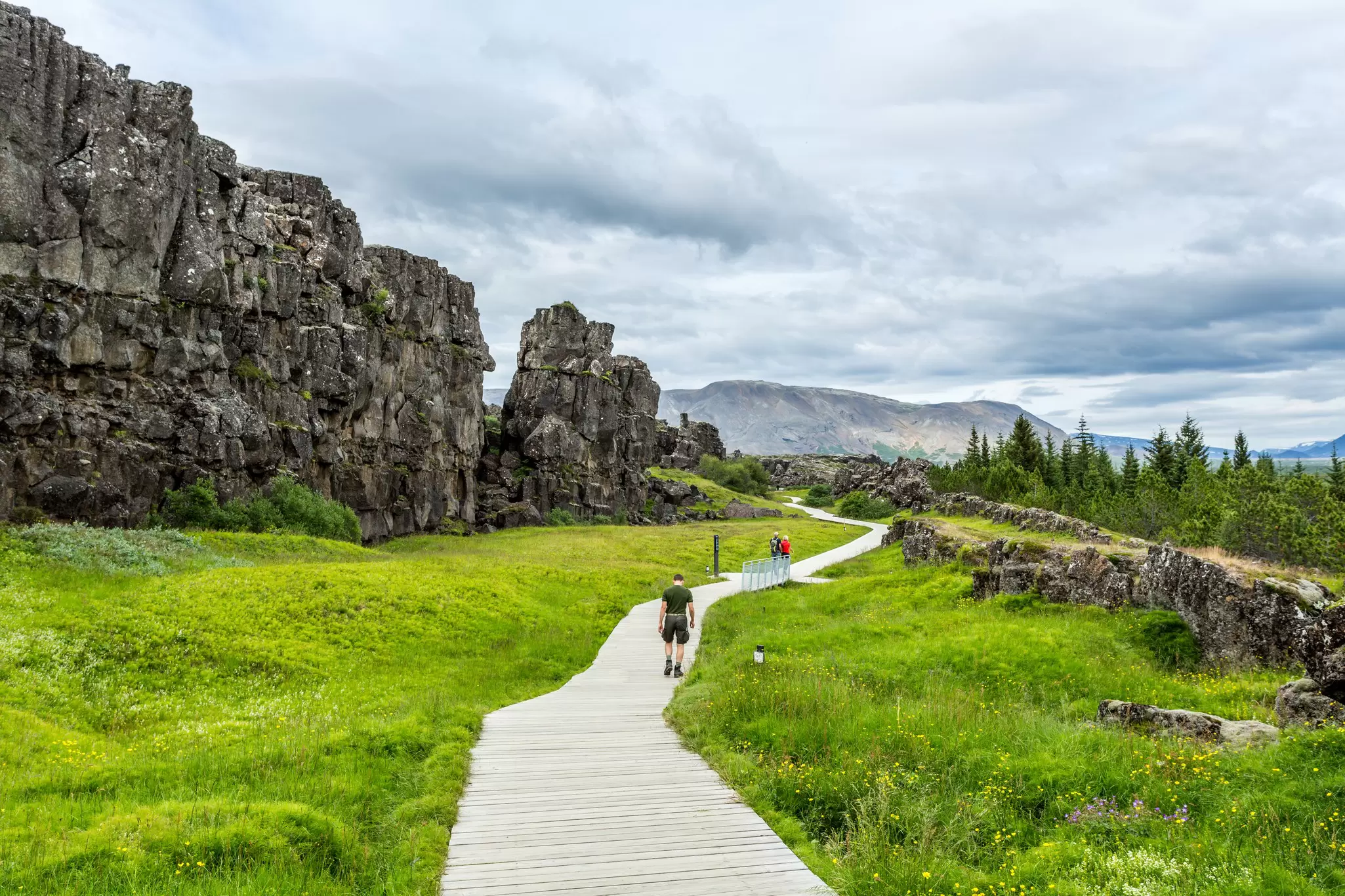 View of a path winding through greenery in Þingvellir National Park, Iceland.