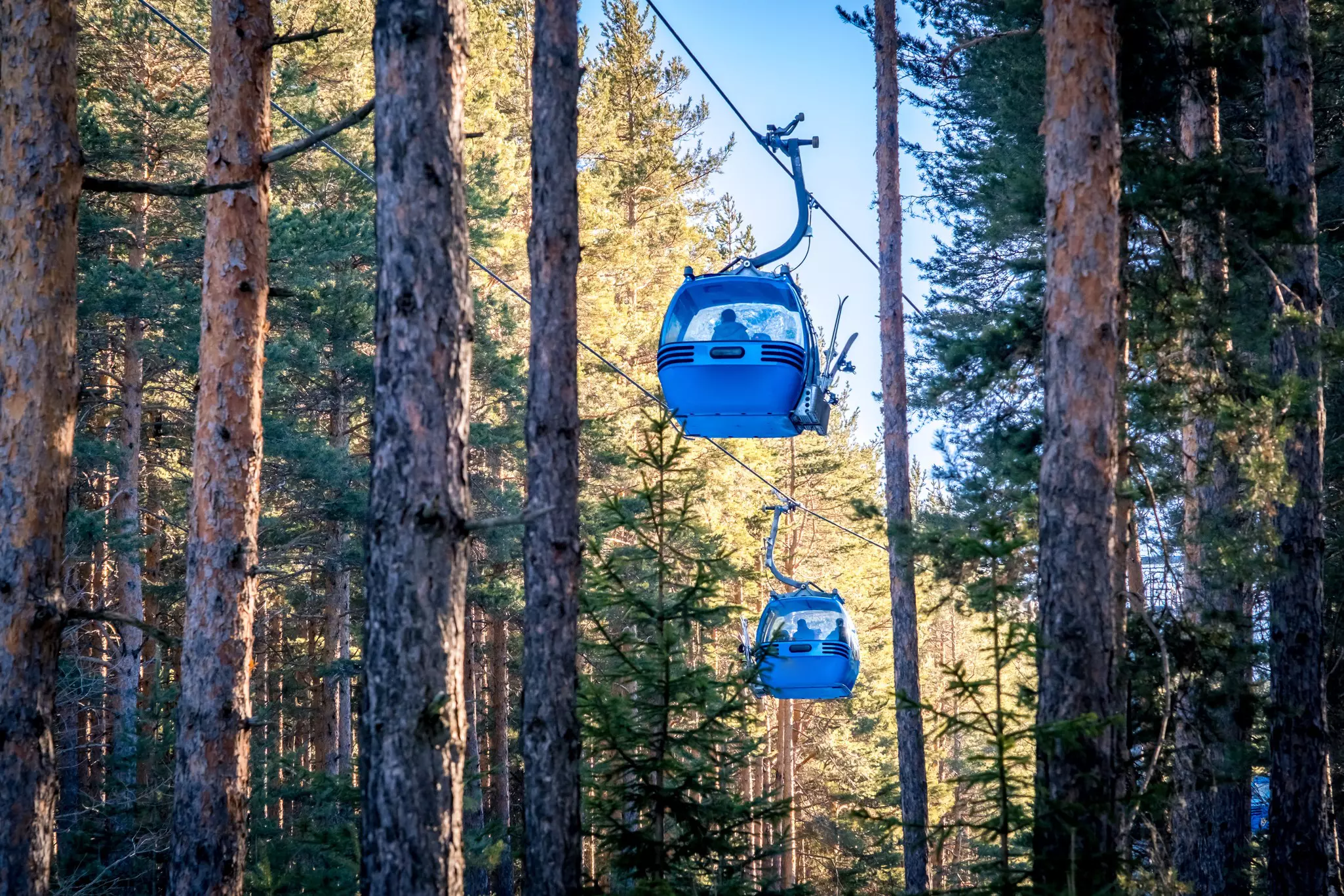 A gondola glides through the forest in fall, Bansko, Bulgaria