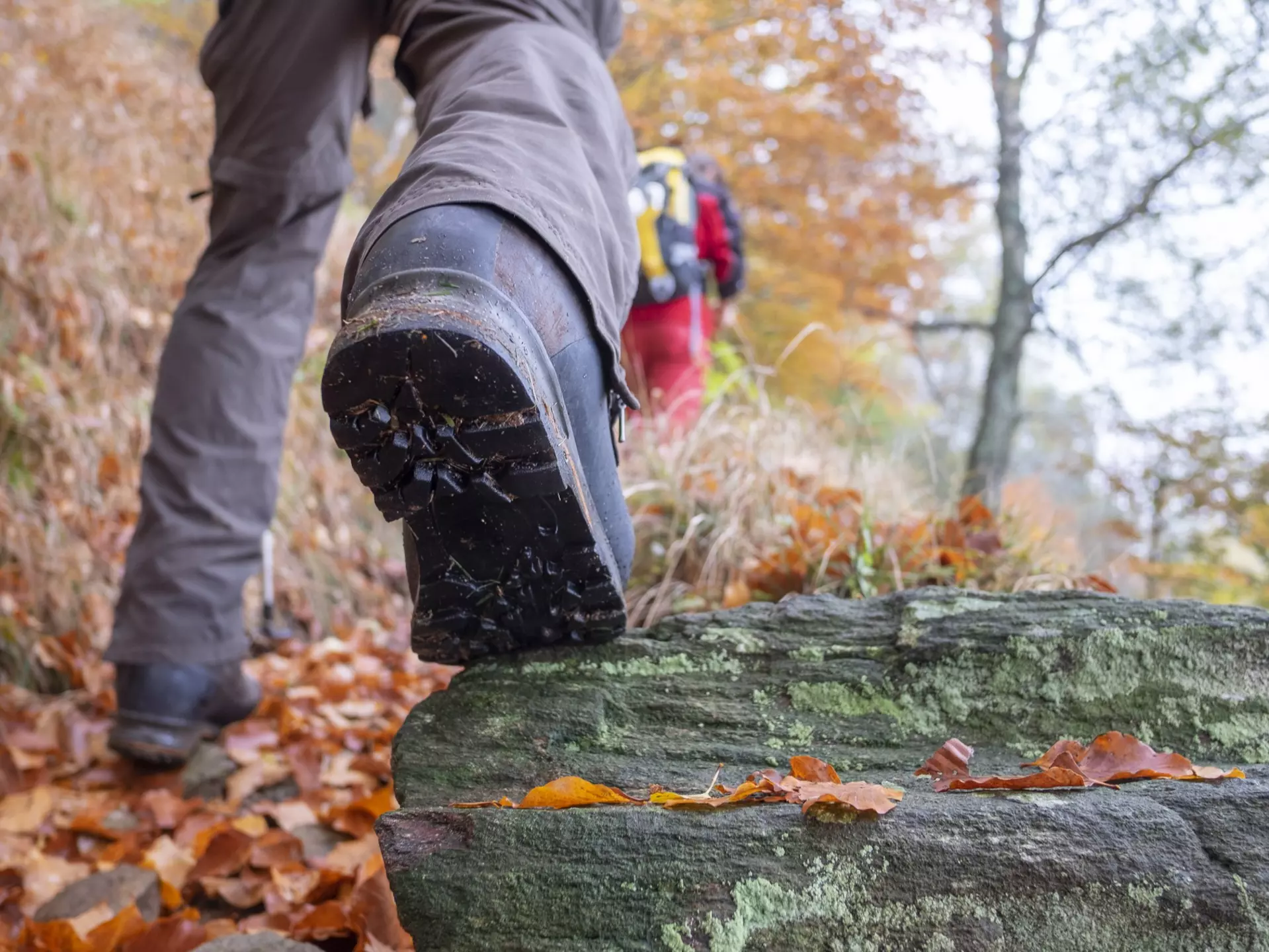 Citizens can help find paths missing from modern maps in England and Wales © Massimo Colombo / Getty Images