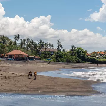 Seseh Beach in Bali, Indonesia. Gekko Gallery/Shutterstock