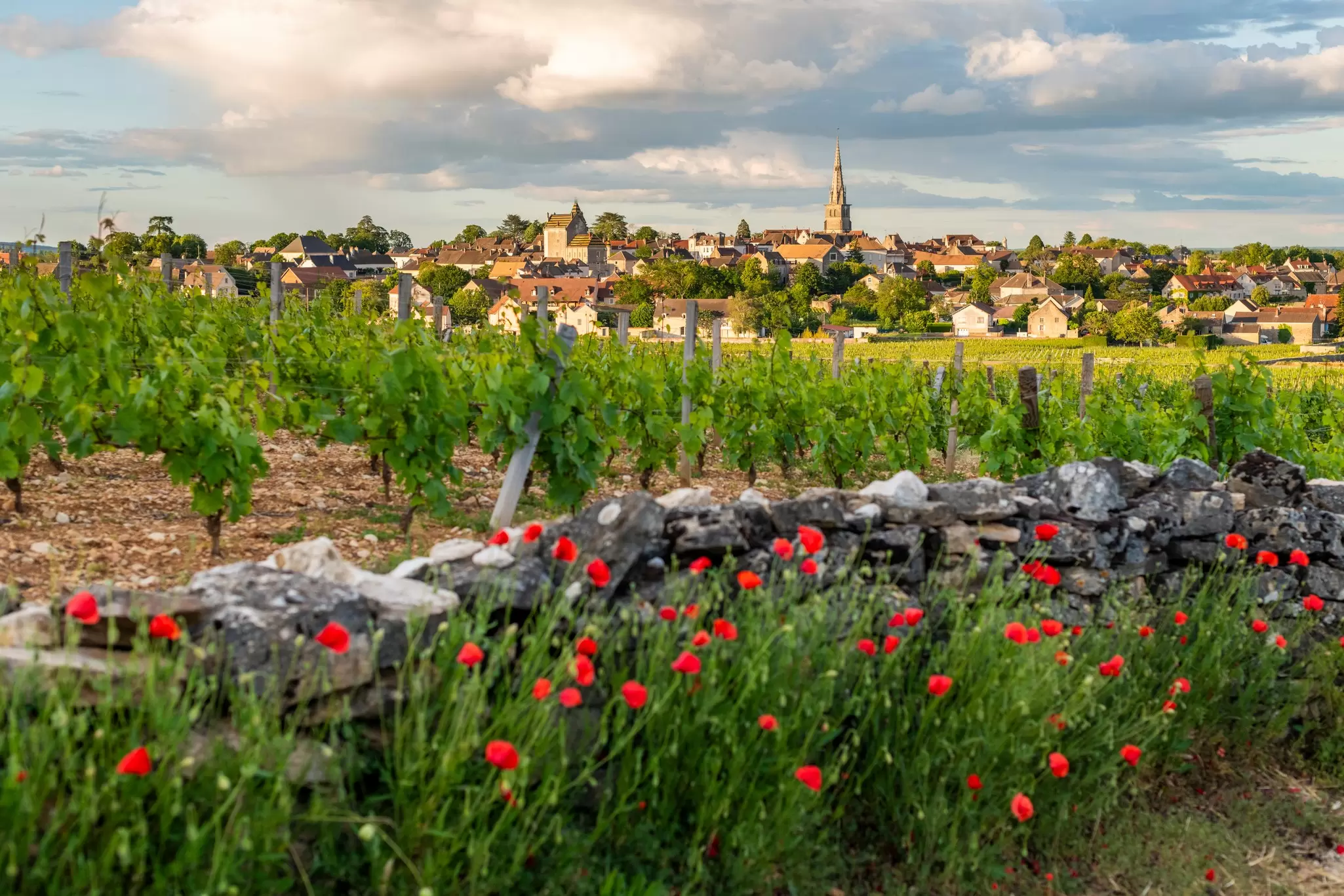 The wine village of Mersault on Burgundy's Route des Grands Crus. Alex Treadway/Getty Images