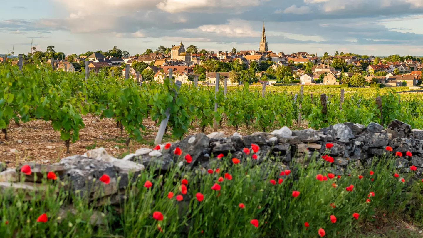 The wine village of Mersault on Burgundy's Route des Grands Crus. Alex Treadway/Getty Images