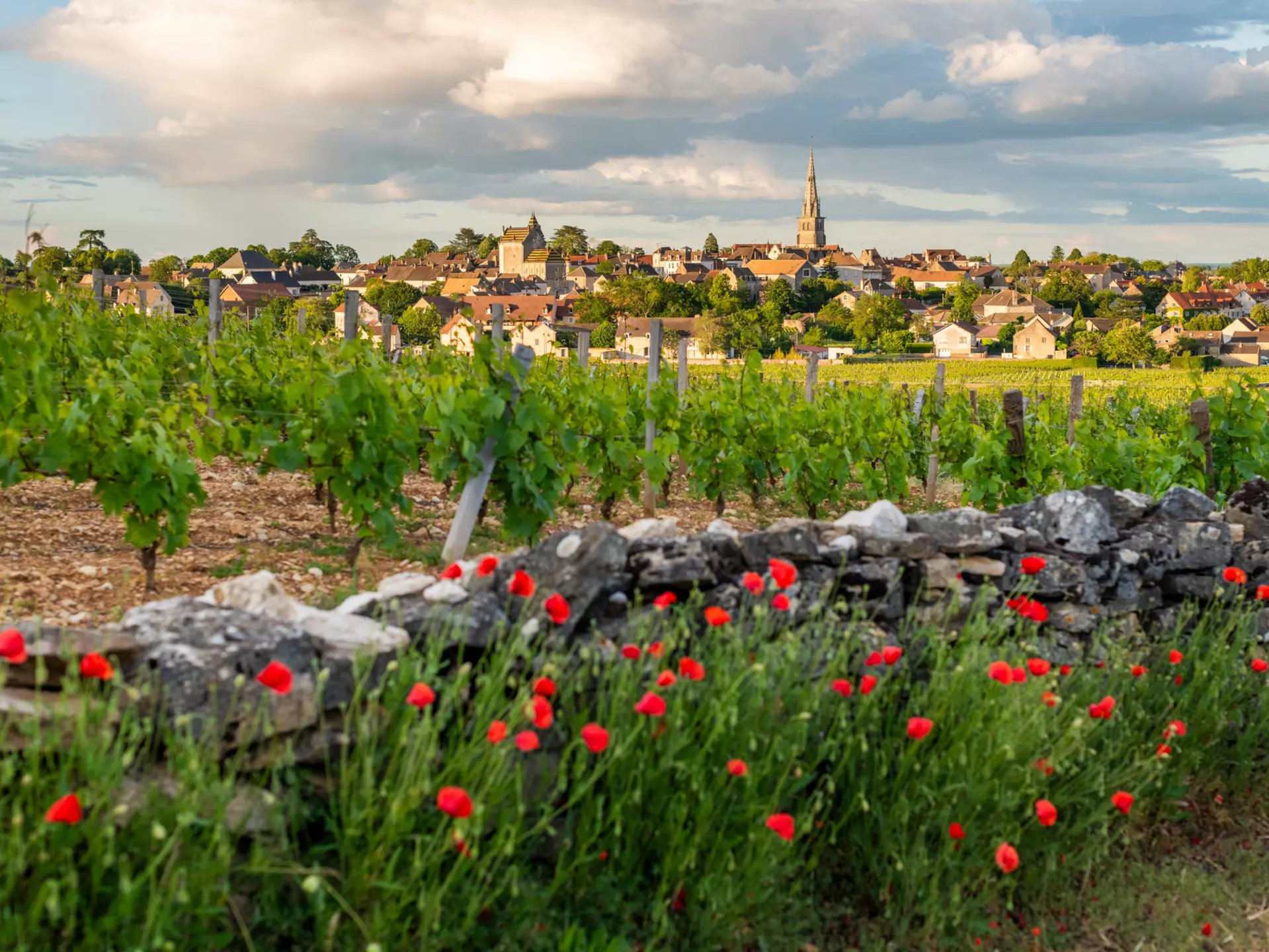 The wine village of Mersault on Burgundy's Route des Grands Crus. Alex Treadway/Getty Images