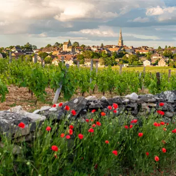 The wine village of Mersault on Burgundy's Route des Grands Crus. Alex Treadway/Getty Images