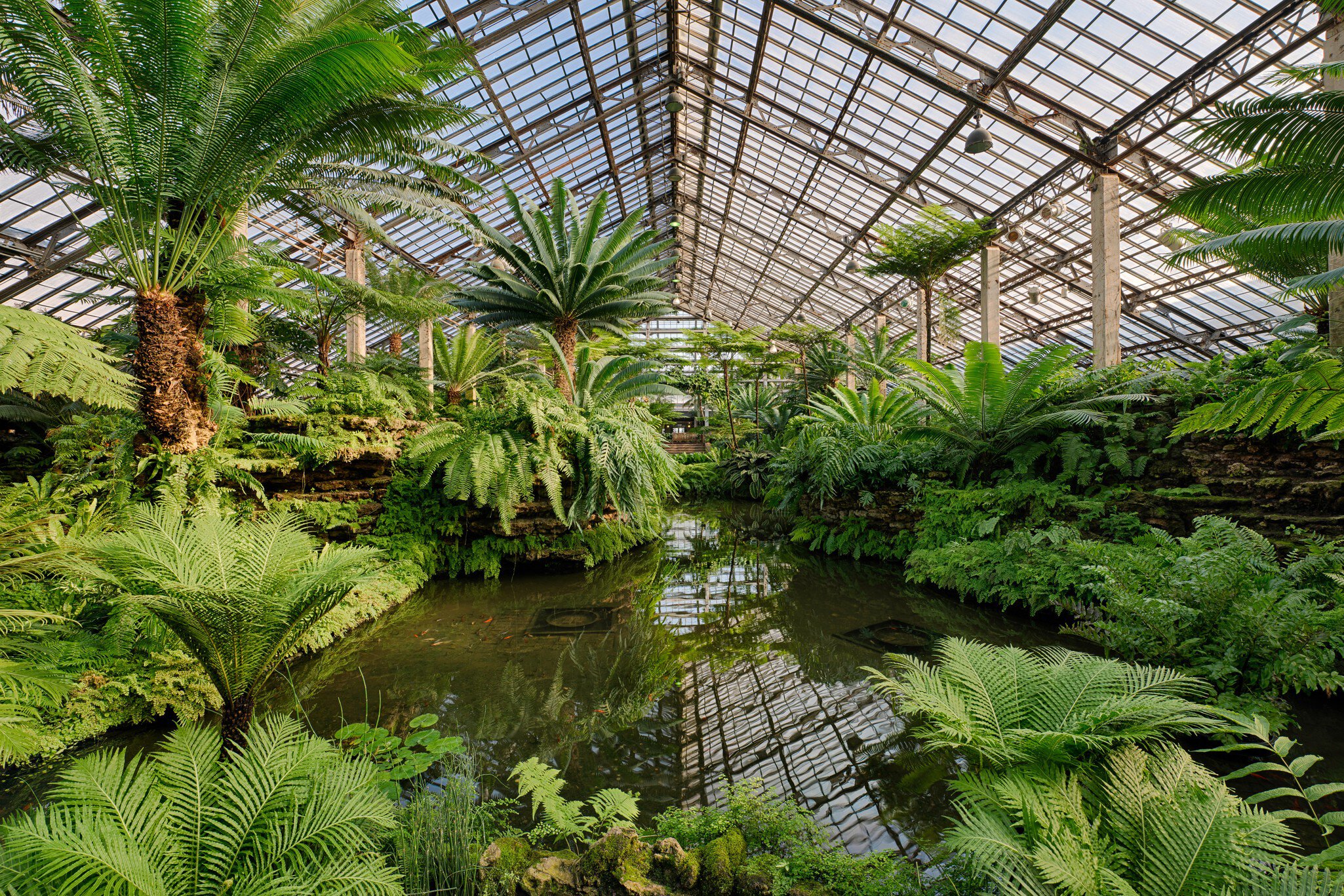 CHICAGO, ILLINOIS - DECEMBER 9: Fern Room of the Garfield Park Conservatory on December 9, 2013 in Chicago, Illinois; Shutterstock ID 166759727; Your name (First / Last): Josh Vogel; Project no. or GL code: 56530; Network activity no. or Cost Cent...