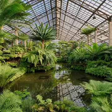 CHICAGO, ILLINOIS - DECEMBER 9: Fern Room of the Garfield Park Conservatory on December 9, 2013 in Chicago, Illinois; Shutterstock ID 166759727; Your name (First / Last): Josh Vogel; Project no. or GL code: 56530; Network activity no. or Cost Cent...