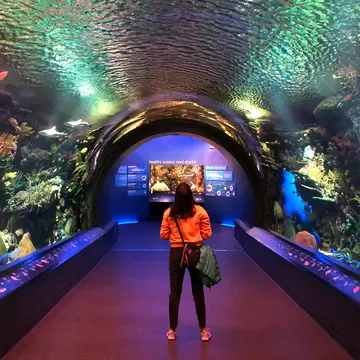 Coney Island, NY - november 26, 2019: Unidentified women standing in the New York Aquarium in Coney Island, NY  License Type: media  Download Time: 2024-06-04T02:21:50.000Z  User: jillfoley3739  Is Editorial: Yes  purchase_order:   