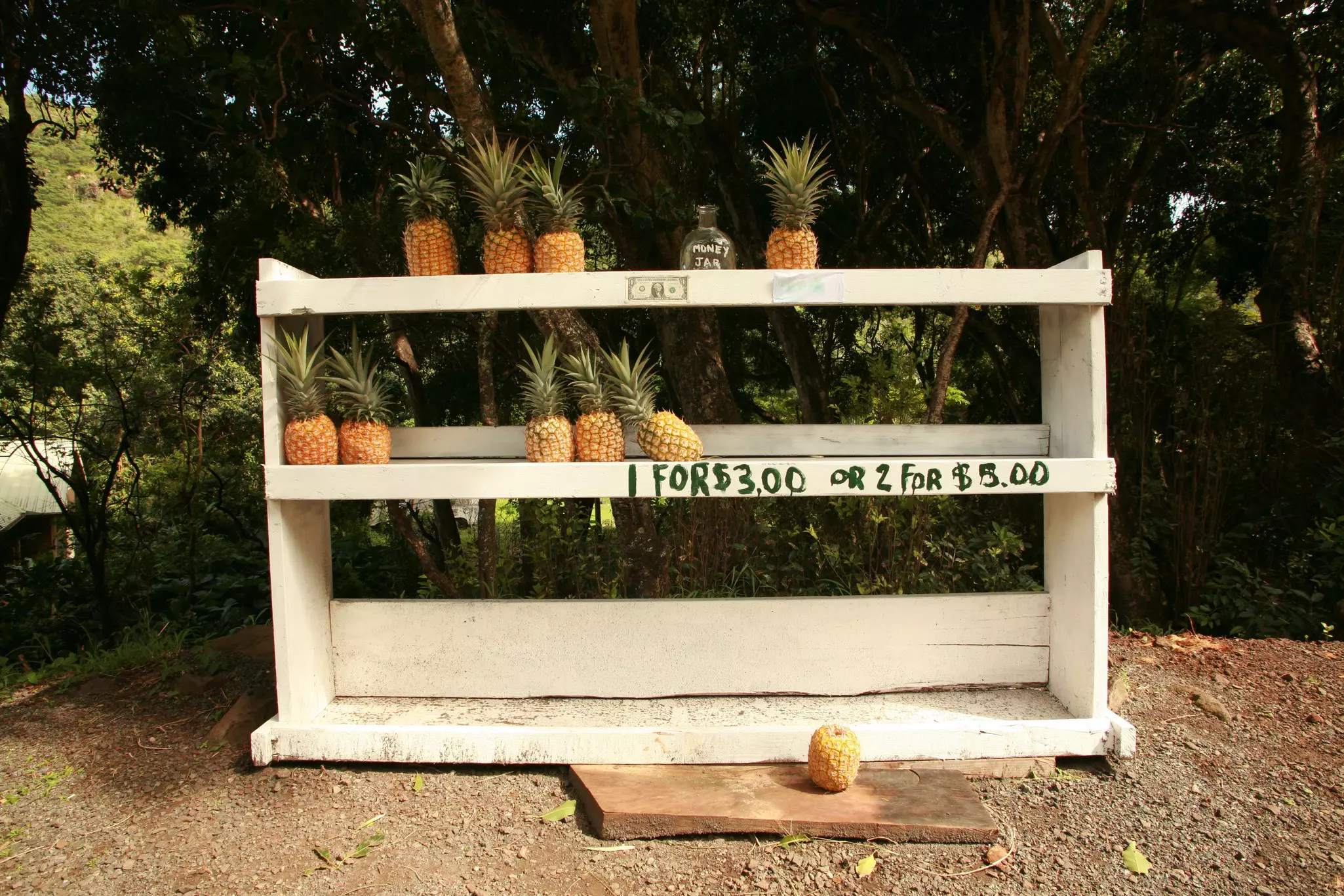 Pineapples at a roadside stand in Maui, Hawaii, sitting on white wooden shelves. A dollar bill is taped to the middle of the top shelf, and there is a jar that says "money jar." Painted in green on the middle shelf is "1 for $3.00 or 2 for $5.00."