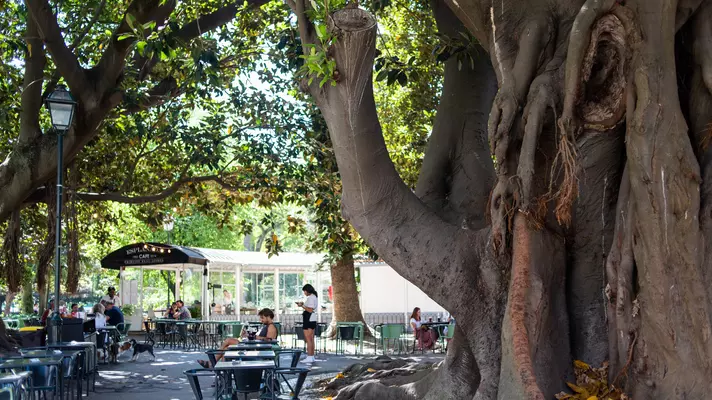 Principe Real, Lisbon