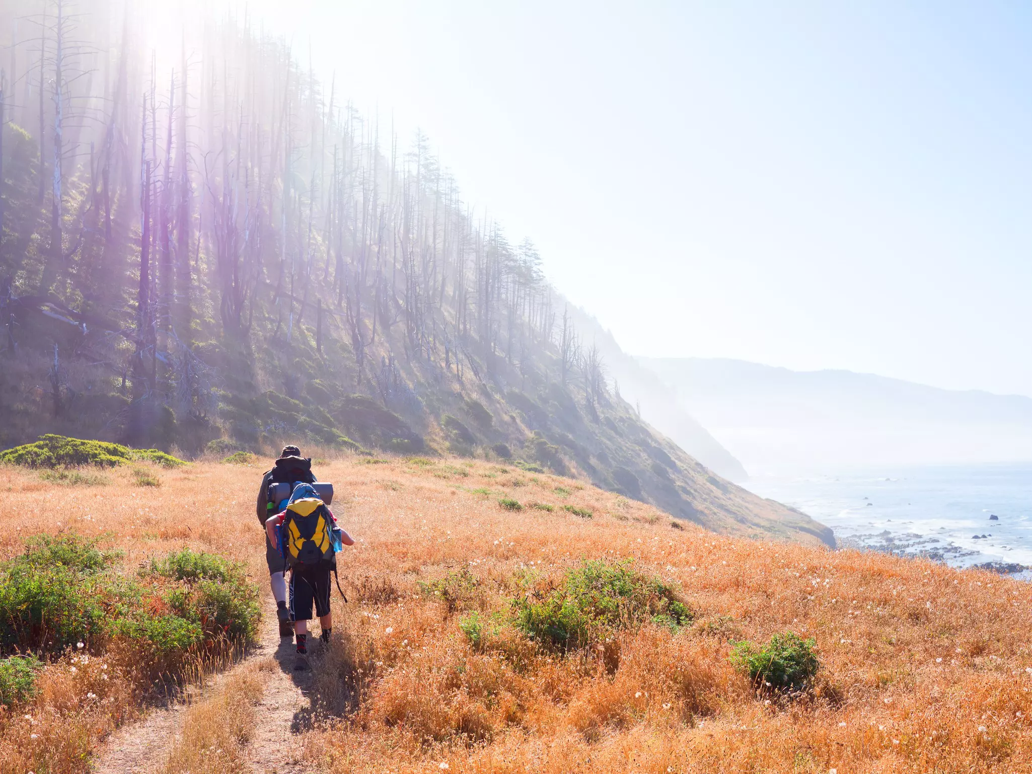 Two thru-hikers carrying backpacks and gear follow a sandy pathway through grassland between woodland and the ocean.