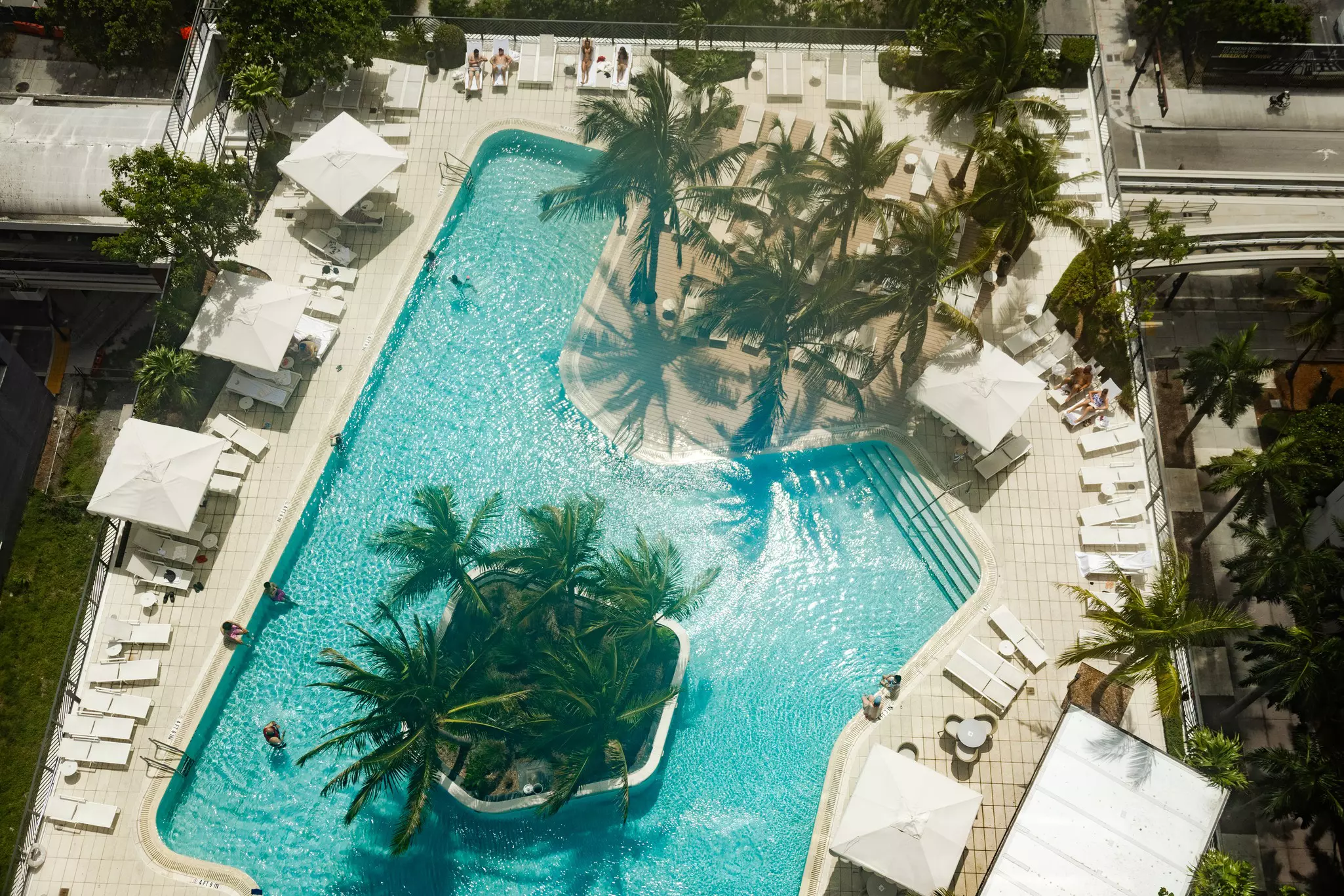 A bird's eye view of a hotel pool with palm trees around it.