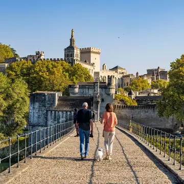 Two people walk on a bridge with a white dog toward a stone castle.