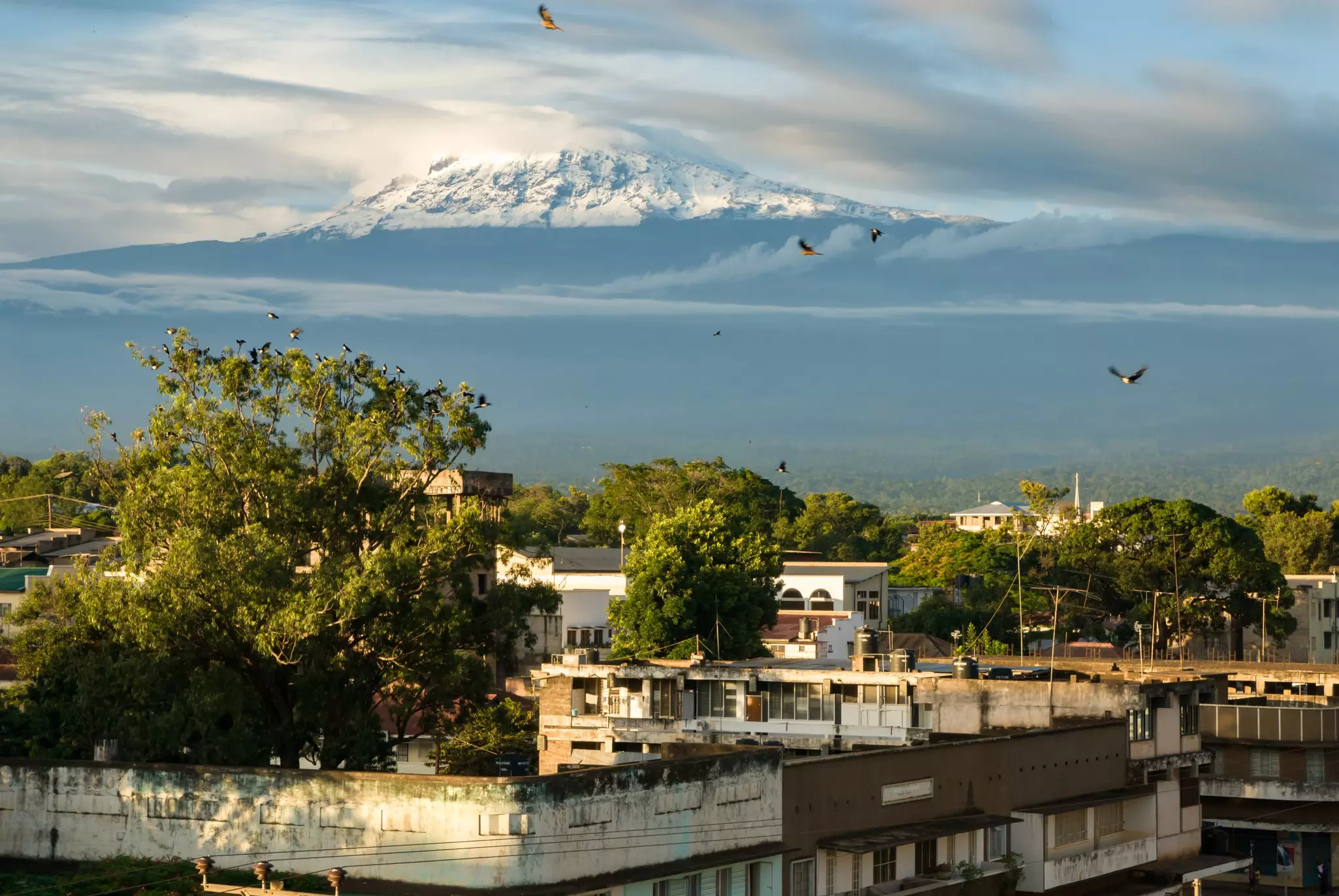 View of Mt Kilimanjaro from Moshi, Tanzania