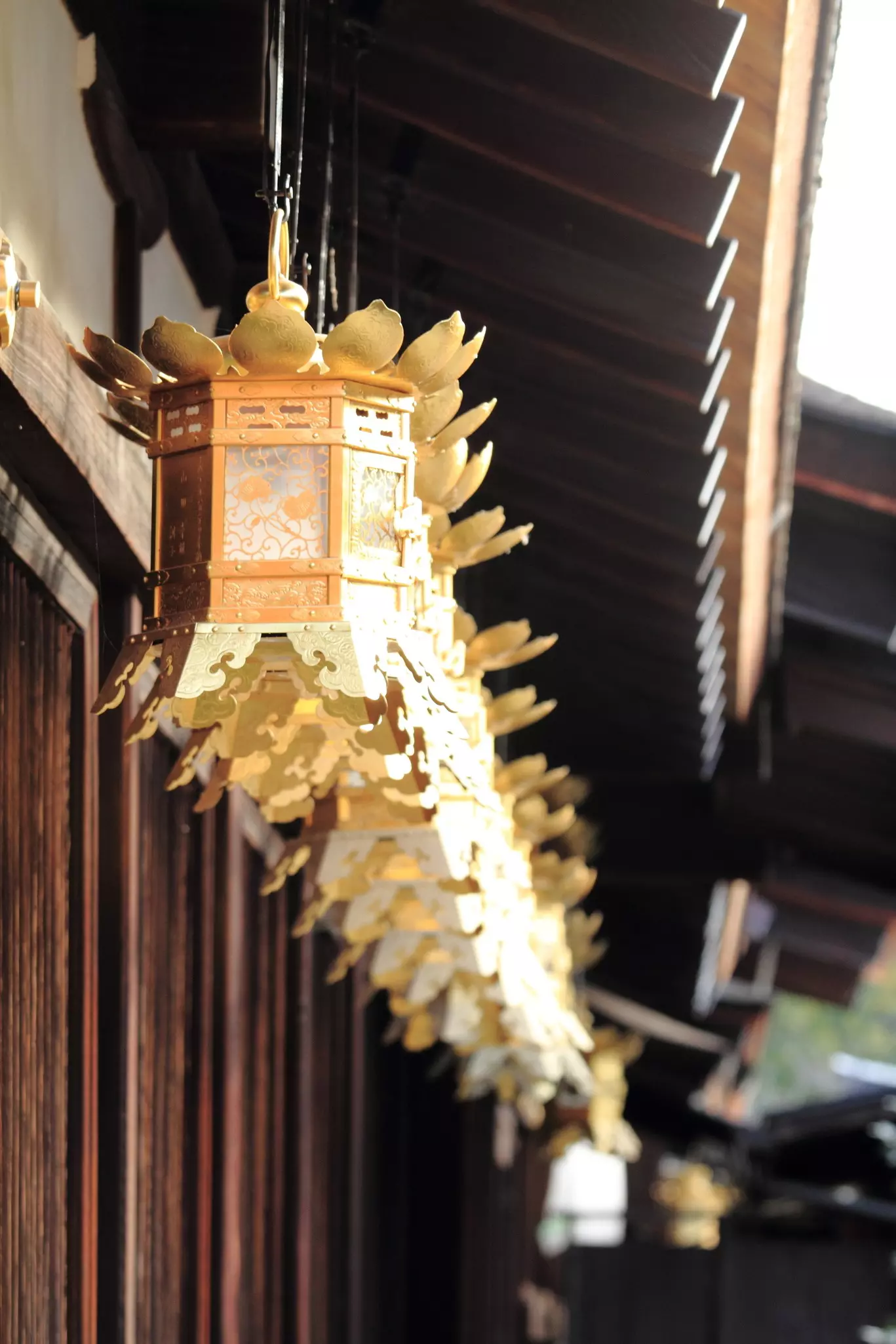 Japanese lanterns in Shimogamo shrine, Kyoto, Japan