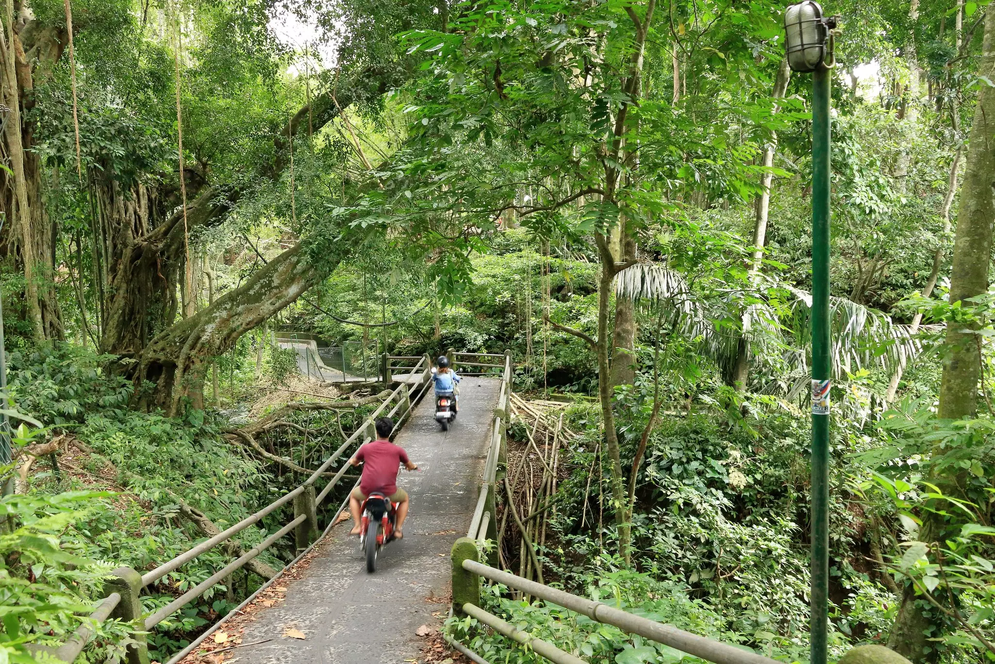 Two people ride scooters through the forest on a narrow paved path.