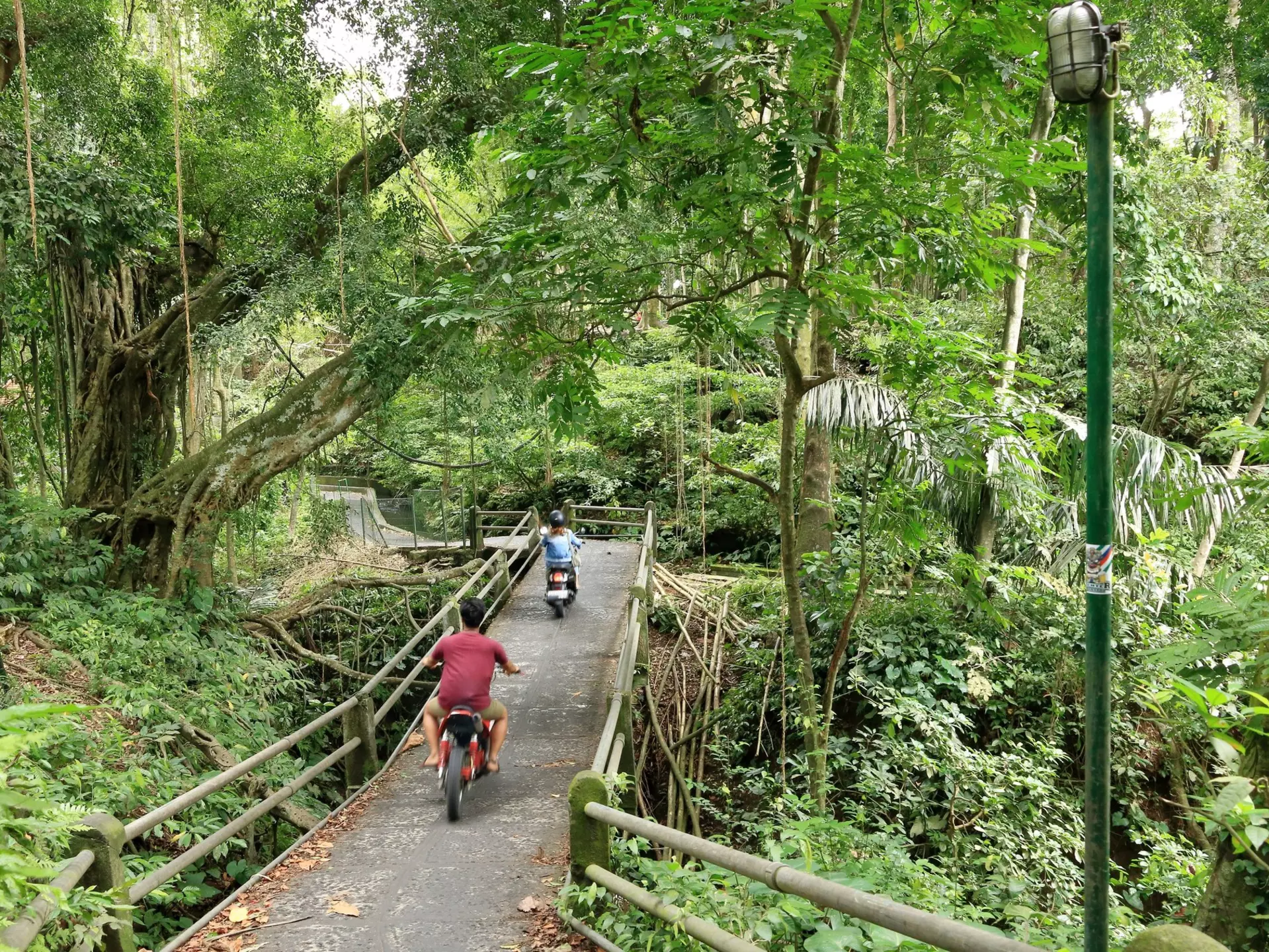 Two people ride scooters through the forest on a narrow paved path.