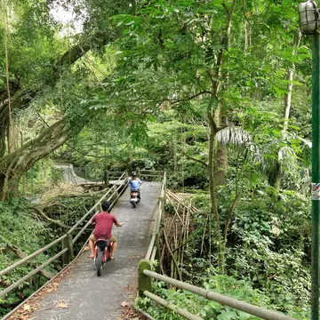 Two people ride scooters through the forest on a narrow paved path.