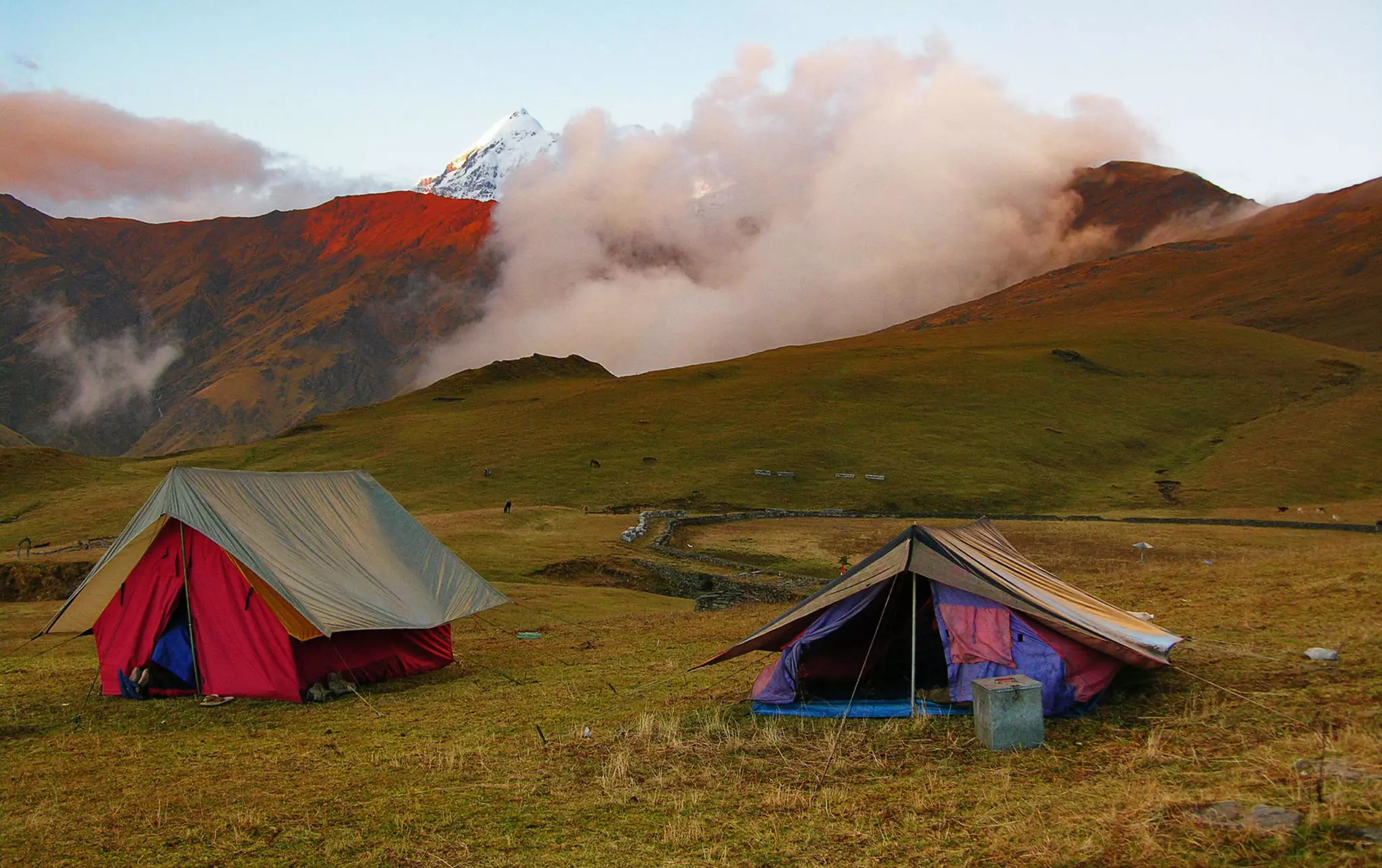 Tents set up on a grassy field with mountains in the background
