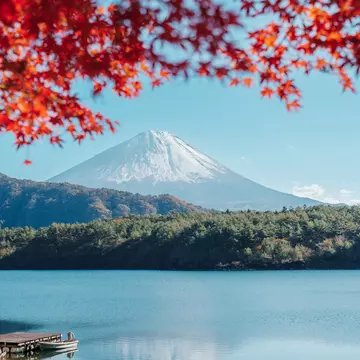 From snow-peaked Mount Fuji to Kyoto's serene temples, we give you expert tips and local insights for the ultimate Japan trip. Jo Panuwat D/Shutterstock