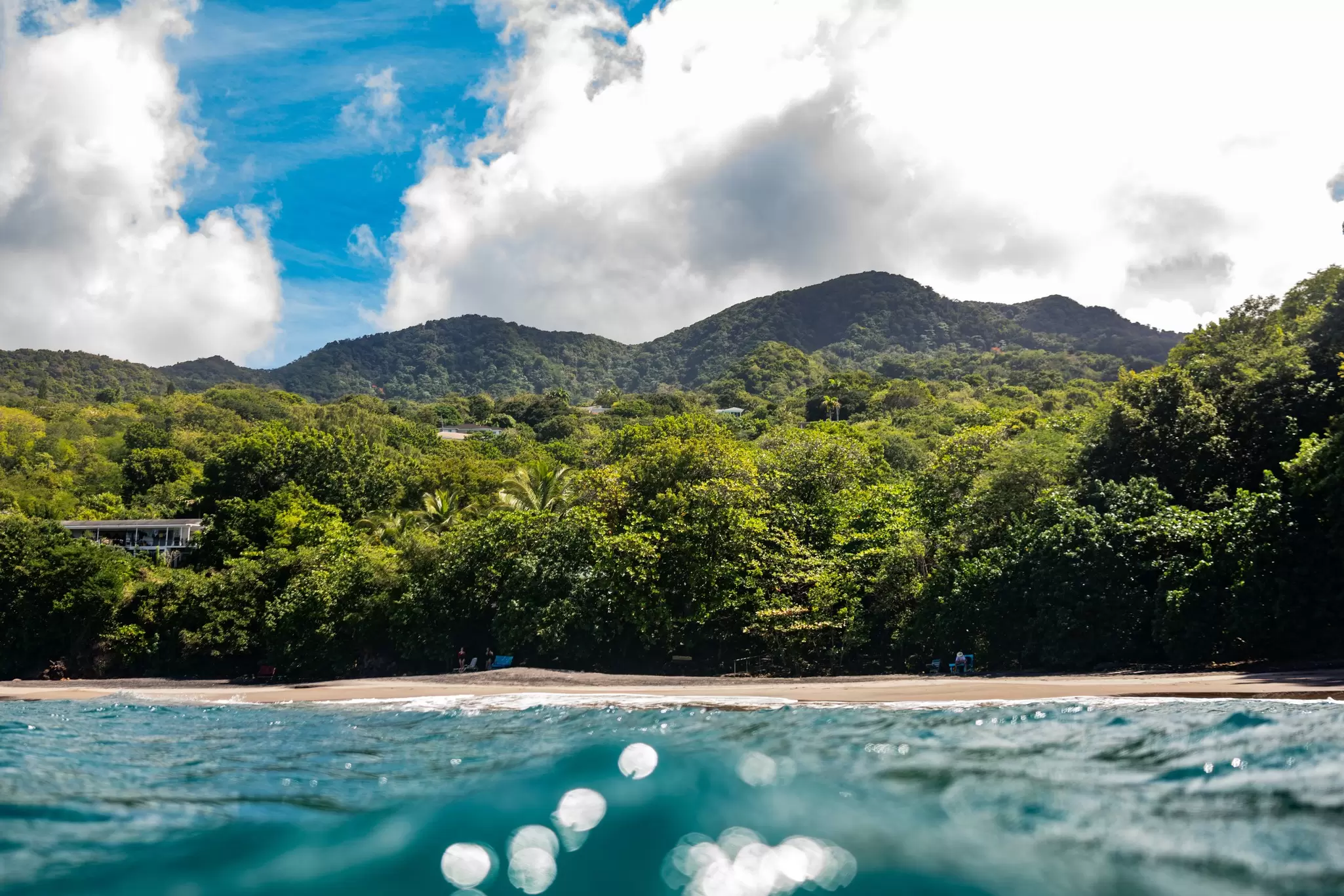 Snorkeling at Woodland’s Beach. Nancy Borowick for Lonely Planet