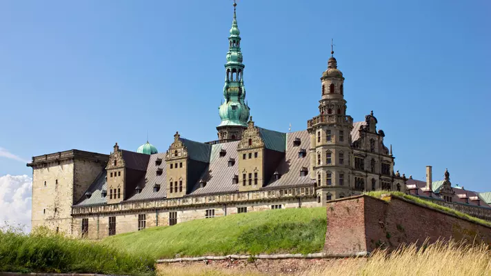 The roof of a castle, with turrets and gables.
