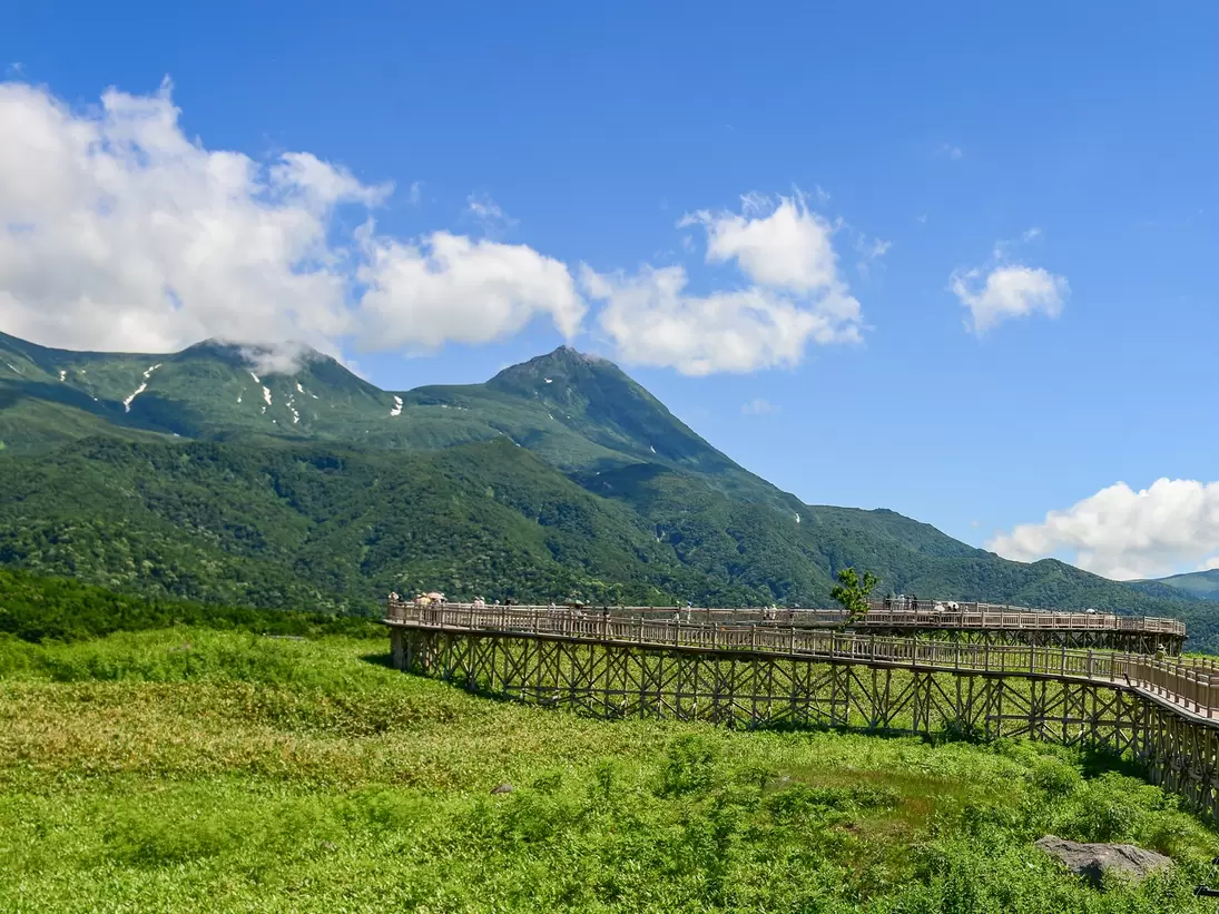 shutterstock_537457378.jpg