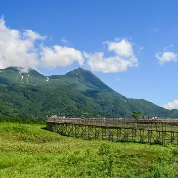 shutterstock_537457378.jpg