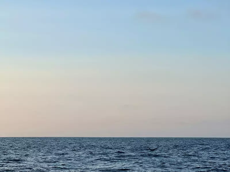 A whale tail peeking out of the ocean on a sunny day.