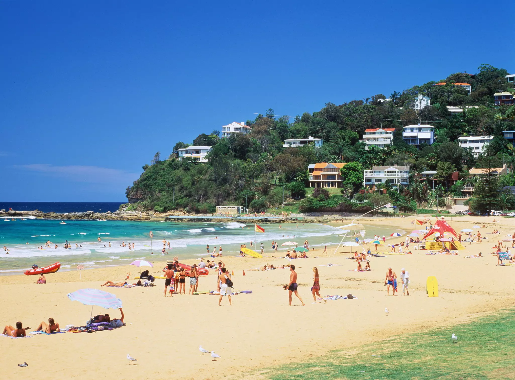 People on a beach in a cove with gentle waves, in front of a green headland with grand houses near Sydney, Australia.