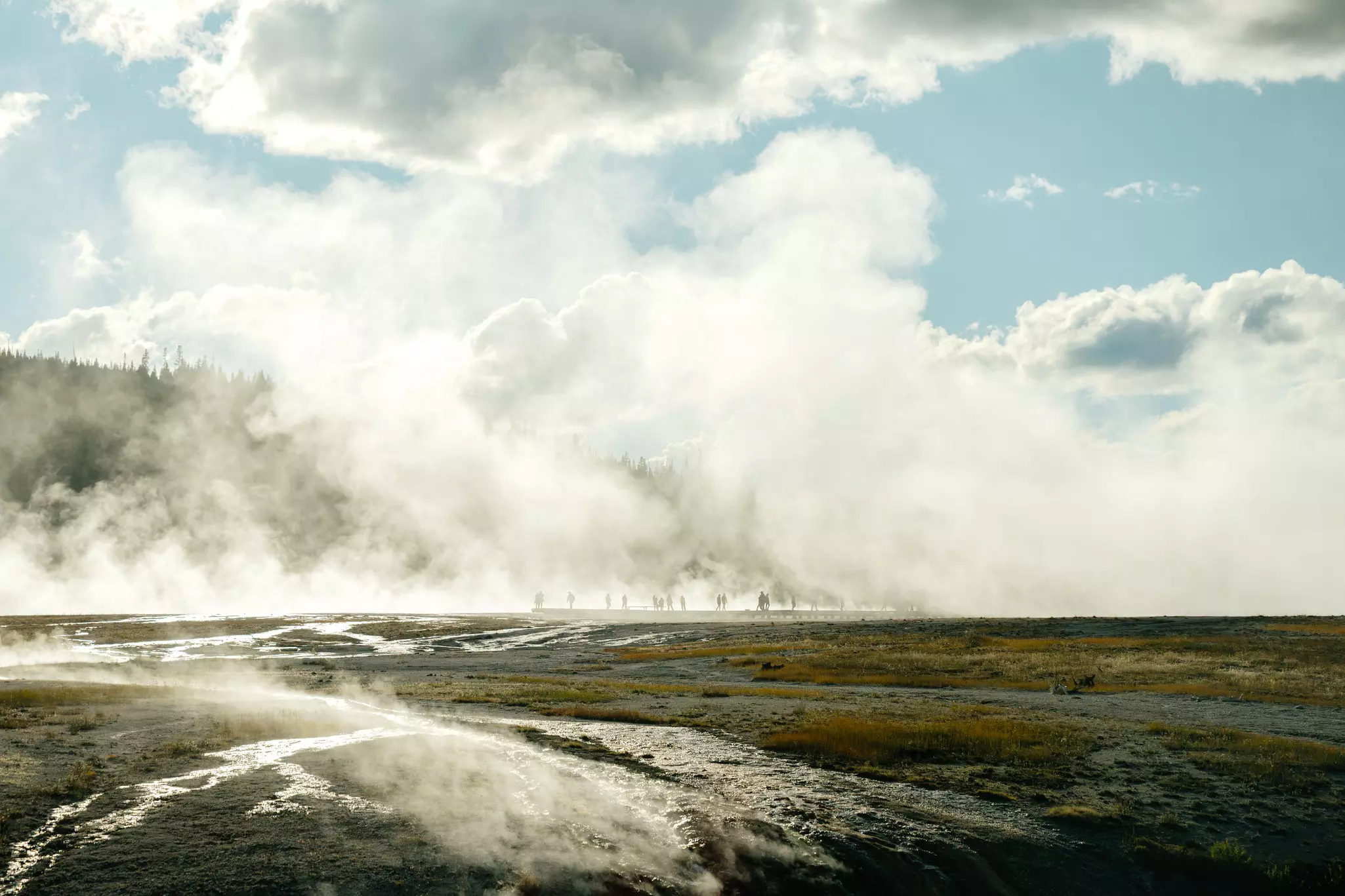 Yellowstone National Park,  Upper Geyser Basin.