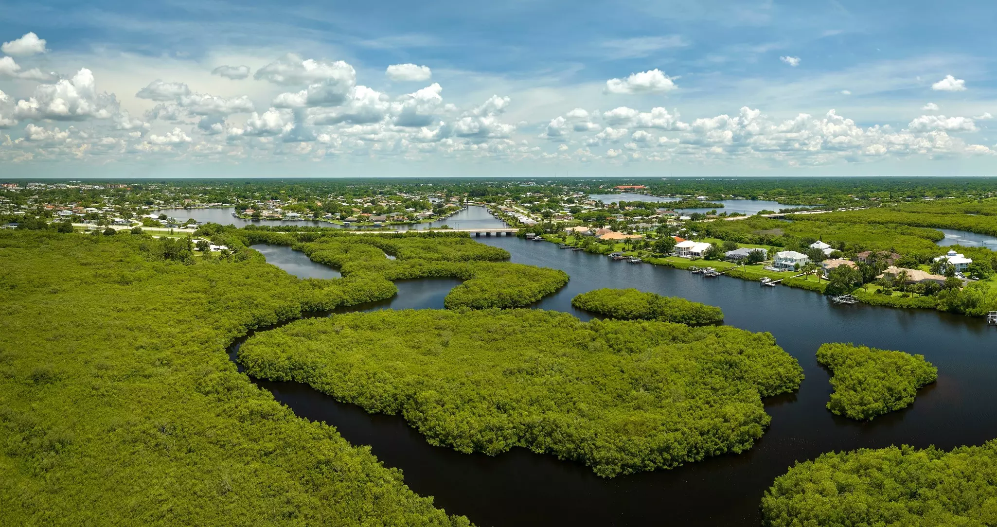 Overhead view of Everglades
