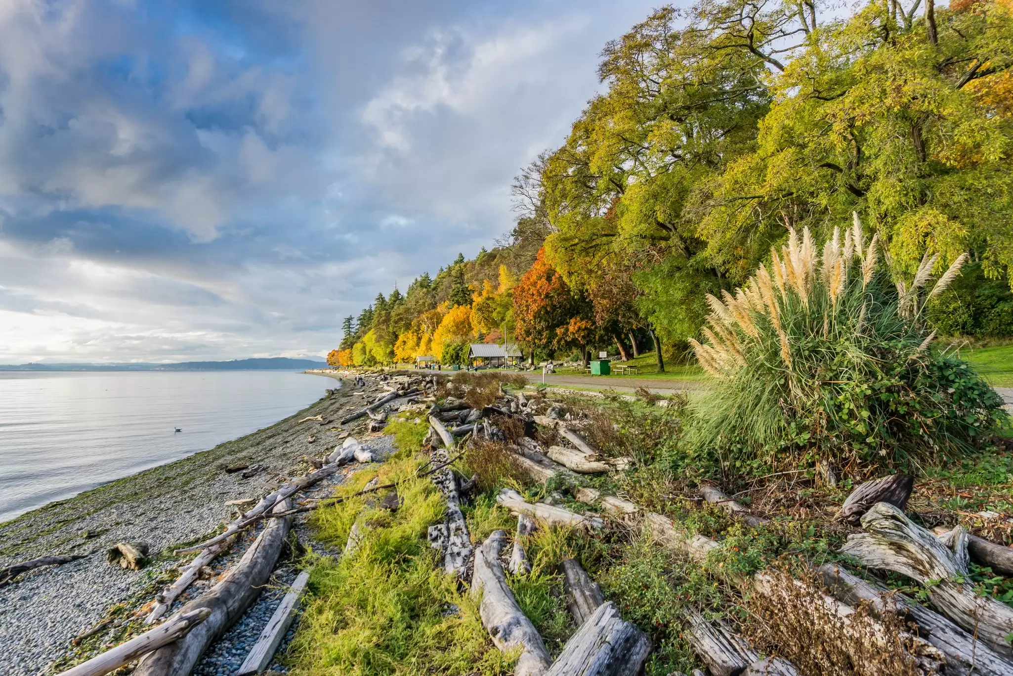 Trees covered in fall colors along the shore at Lincoln Park in West Seattle, Washington State.
