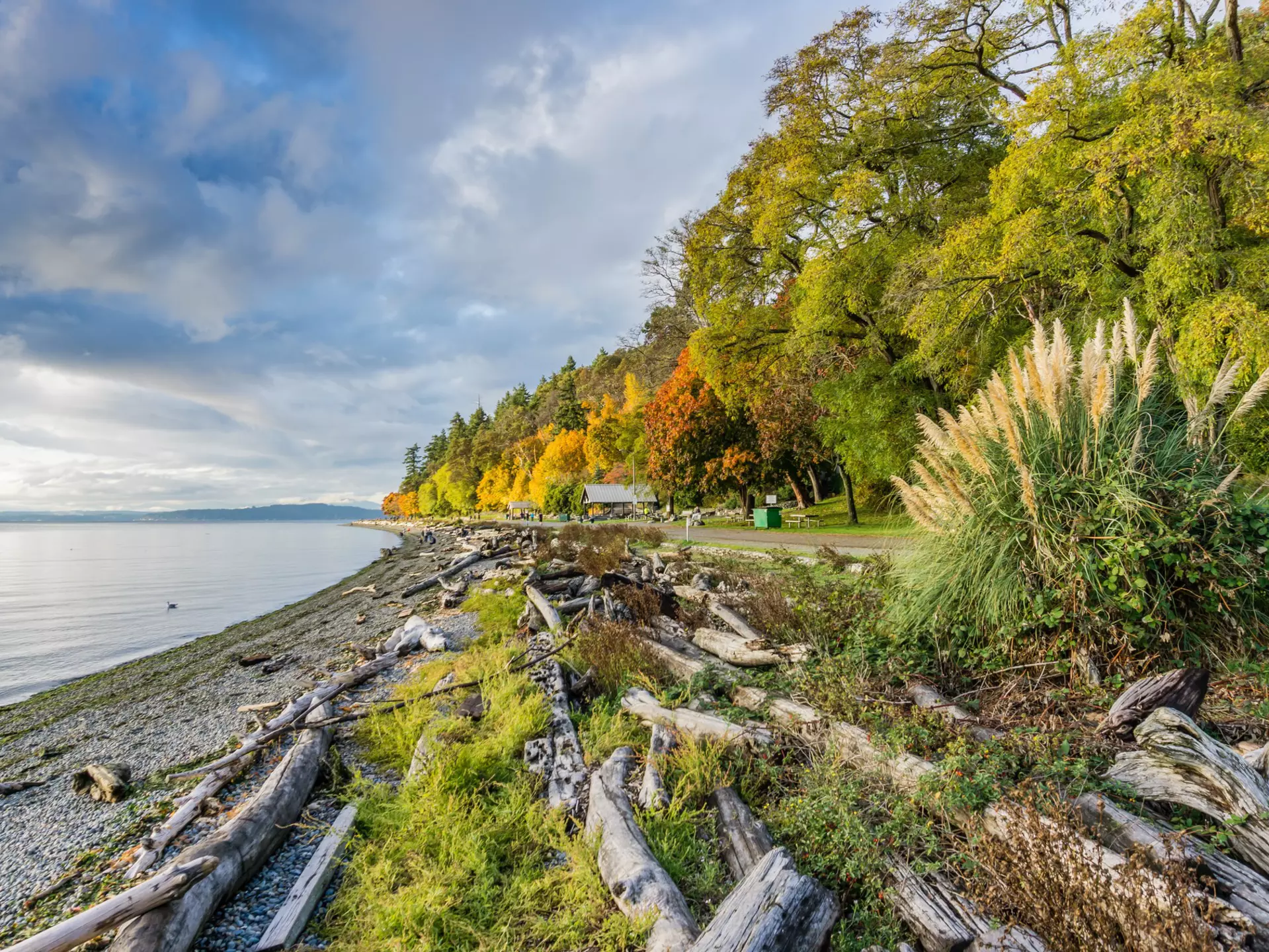 Trees covered in fall colors along the shore at Lincoln Park in West Seattle, Washington State.