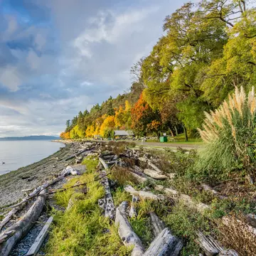 Trees covered in fall colors along the shore at Lincoln Park in West Seattle, Washington State.